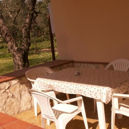 Villa Oleandro Ciccino Vieste Exterior photo
