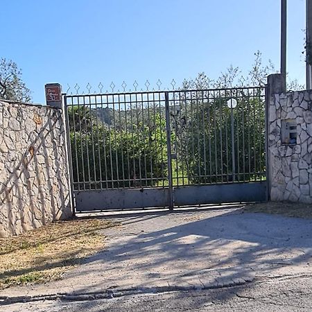 Villa Oleandro Ciccino Vieste Exterior photo